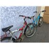 Image 6 : TEAL TECH TEAM AND RED/GREY DUNLOP BIKES