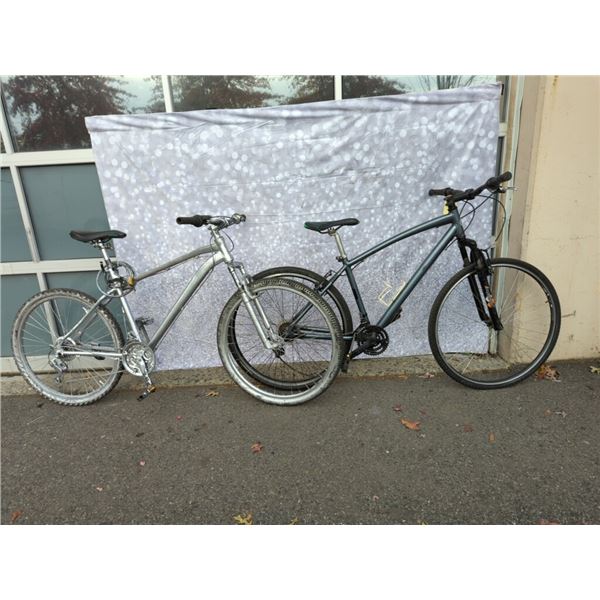 GREY NO BRAND AND SILVER NO BRAND BIKES