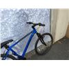 Image 3 : BLUE CCM BIKE