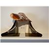 Image 2 : Sea Shell 12" & Book Ends
