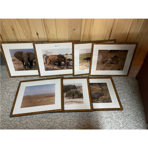 7 African Safari Pictures 20 x 17
