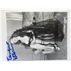 Image 1 : Tempest Storm signed original photo