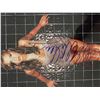 Image 1 : Alyssa Milano signed photo