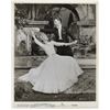 Image 1 : Donald O'Connor Signed Photo
