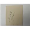 Image 1 : Aaron Neville original signature