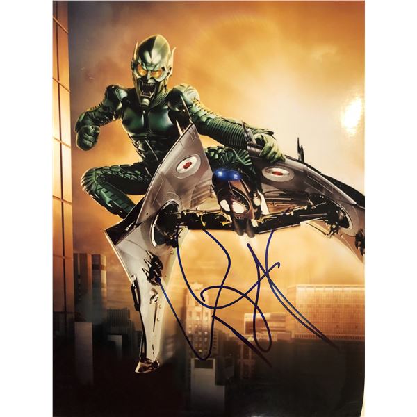 Spiderman signed photo