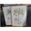 Image 2 : Framed Coconut Tree And Floral Print (3) - 17" x 24"