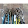 Image 2 : Asst. Channel Locks
