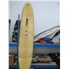Image 1 : O'BrienWindsurfer w/Sail