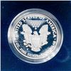 Image 2 : 2000 Silver Eagle -