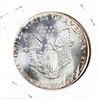 Image 2 : 1987 1oz American Silver Eagle