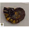 Image 1 : AMMONITE SPECIMEN