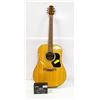 Image 1 : WALDEN ADDON PICK-UP GUITAR NAT WITH SOFT CASE