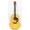 Image 1 : JASMINE ACOUSTIC NAT GUITAR WITH SOFT CASE