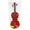 VIOLIN 4/4 MENZEL WITH BOW + HARD