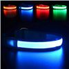 Image 1 : NEW LARGE  BLUE LED & BLACK USB CHARGED PET COLLAR