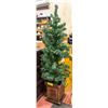 Image 1 : 42 INCH PRE-LIT CHRISTMAS TREE IN SQUARE