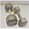 Image 1 : 30LB. STEEL WEIGHT + 15LB. STEEL WEIGHT
