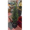 Image 1 : 4FT PRE LIT CHRISTMAS TREE WITH POT