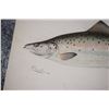 Image 3 : Antique lot of 4 Denton fish prints - 12" X 9.25 & signed c.1895