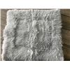 Image 1 : Lot of 1 Shaggy/Fuzzy Pet Bed