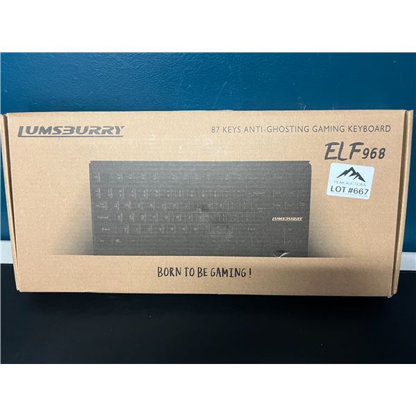 Lot of 1 Lumsburry ELF 968 Gaming Keyboard