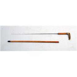 Quality 19th century cane sword
