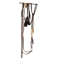 Horsehair braided Head stall and reigns