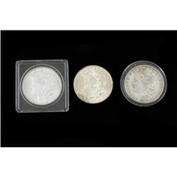 Collection of 3 Morgan Silver Dollars