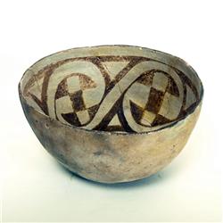 Prehistoric Black & White Polychrome Bowl