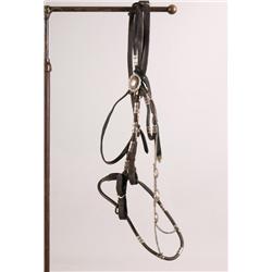 Visalia Silver Headstall
