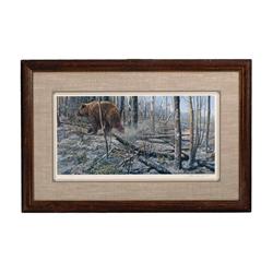 Nice print of Bear in Woods