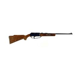 Daisy Rogers Powerline M822 Cal .22 pellet