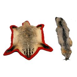 Fox Pelt in full tube