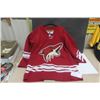 Image 2 : Phoenix Coyotes Kuho Sz XL Jersey, Chicago Baseball Jersey Sz M