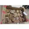 Image 1 : Flat Box of 12+ Petrified Wood Pieces