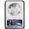 Image 2 : 2010 $1 American Silver Eagle Coin NGC MS69 Early Releases