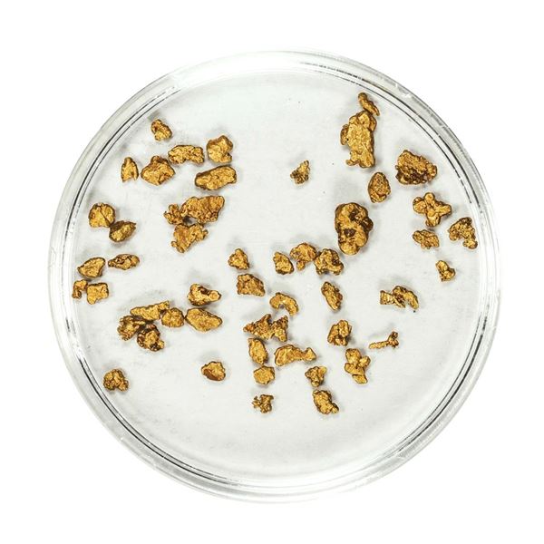 Lot of Gold Nuggets 1.88 Grams Total Weight
