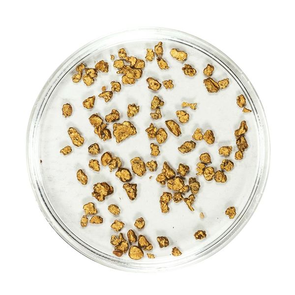 Lot of Gold Nuggets 2.38 Grams Total Weight
