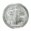2015-W $1 Burnished American Silver Eagle Coin