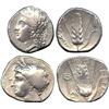 Image 1 : ANCIENT COINS. Greek. Lucania, Metapontum, Silver Staters (2), head of Demeter left, rev b