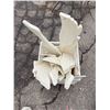 Image 1 : Whirly bird parts