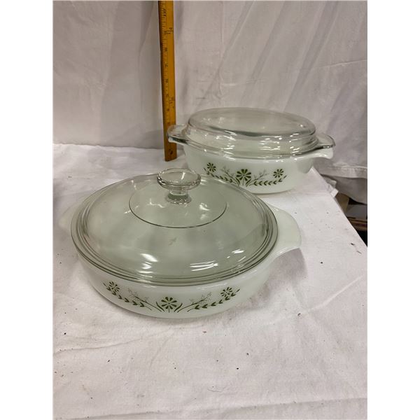 Two baking dishes