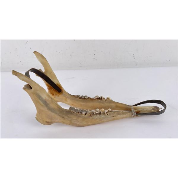Alaskan Inuit Eskimo Deer Jaw