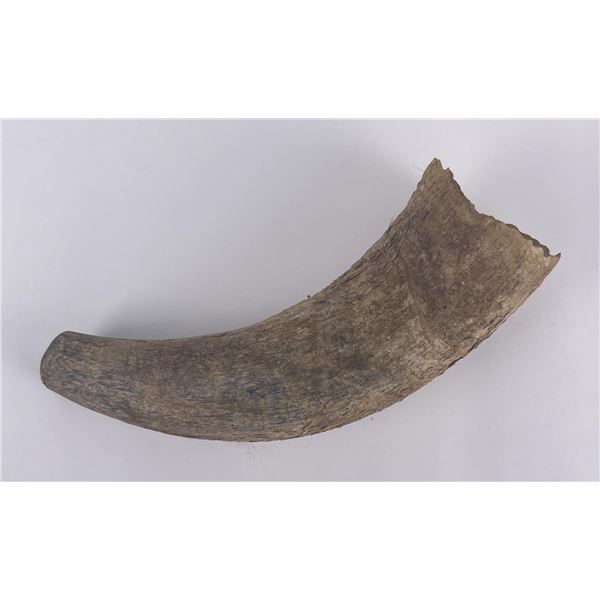 Plains Native American Indian Buffalo Horn