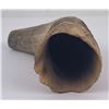 Image 4 : Plains Native American Indian Buffalo Horn