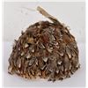 Image 3 : Native American Indian Quail Feather Hat