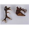 Pair of Carved Elk Horn Brooches Montana