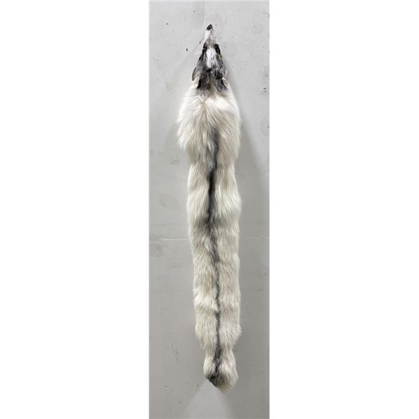 Beautiful Ranch Marbled Fox Fur Pelt Taxidermy #29