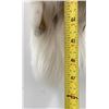 Image 3 : Beautiful Ranch Marbled Fox Fur Pelt Taxidermy #29